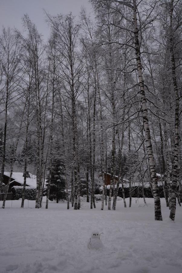 Chalet Champraz - Free Parking Chamonix Exterior foto